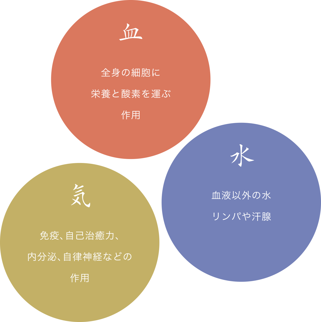 気・血・水について