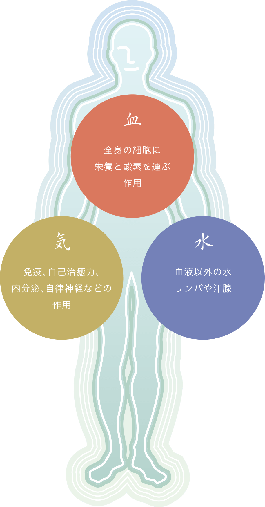 気・血・水について