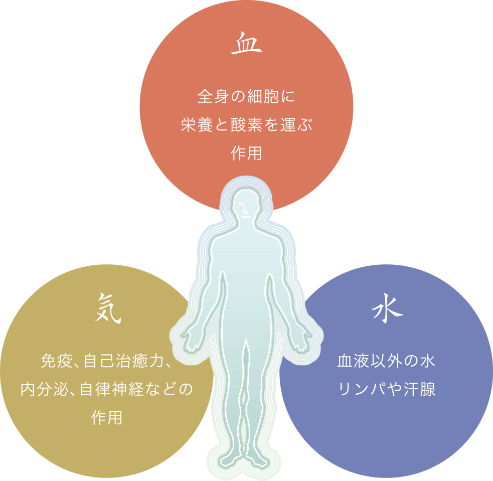 気・血・水について
