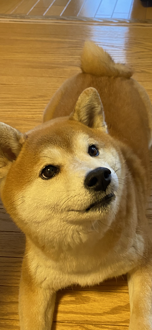 遊んでもらっています😆